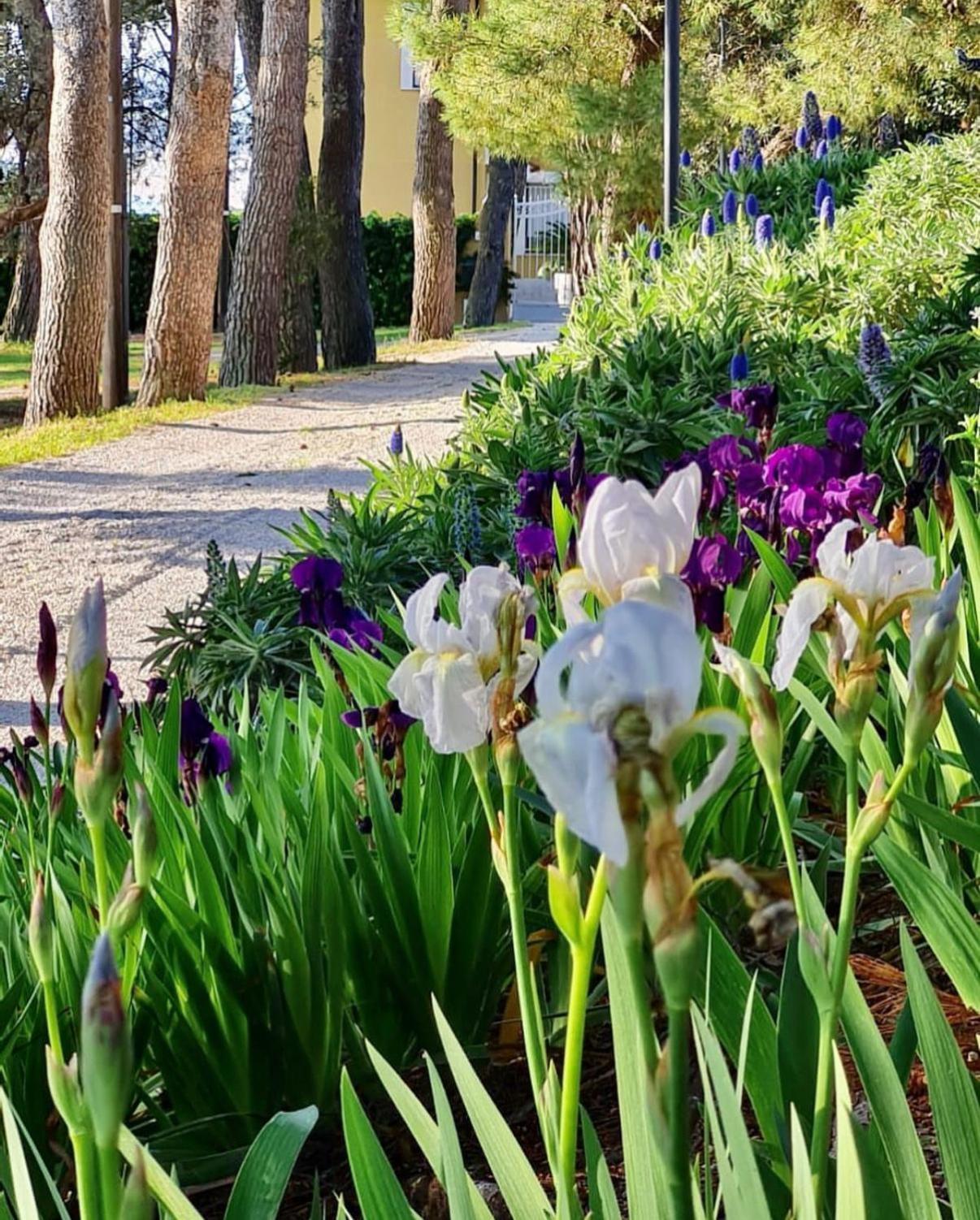 Bed and Breakfast Tra Gli Alberi E Il Mare Сироло Экстерьер фото