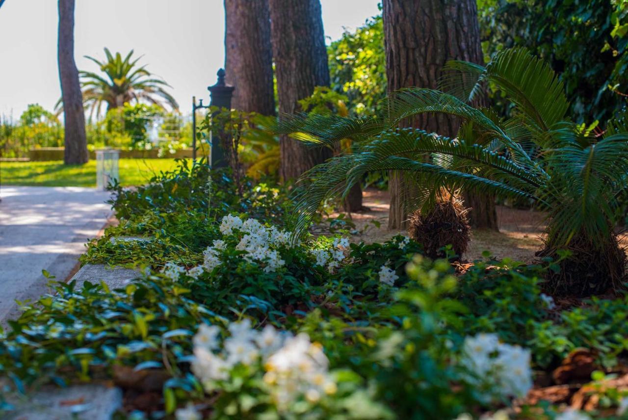 Bed and Breakfast Tra Gli Alberi E Il Mare Сироло Экстерьер фото