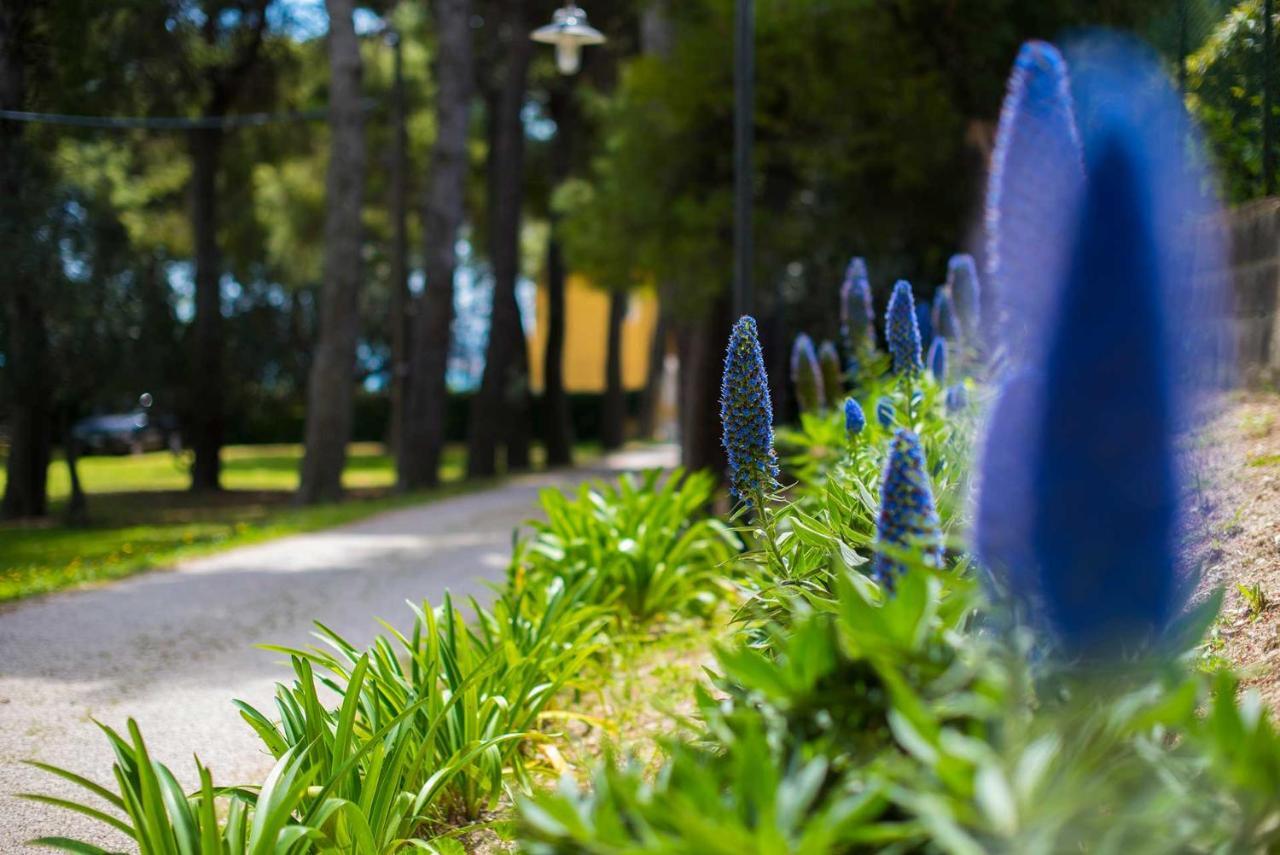 Bed and Breakfast Tra Gli Alberi E Il Mare Сироло Экстерьер фото